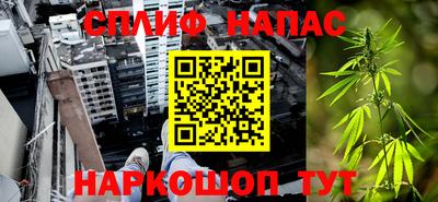 СК Тверь