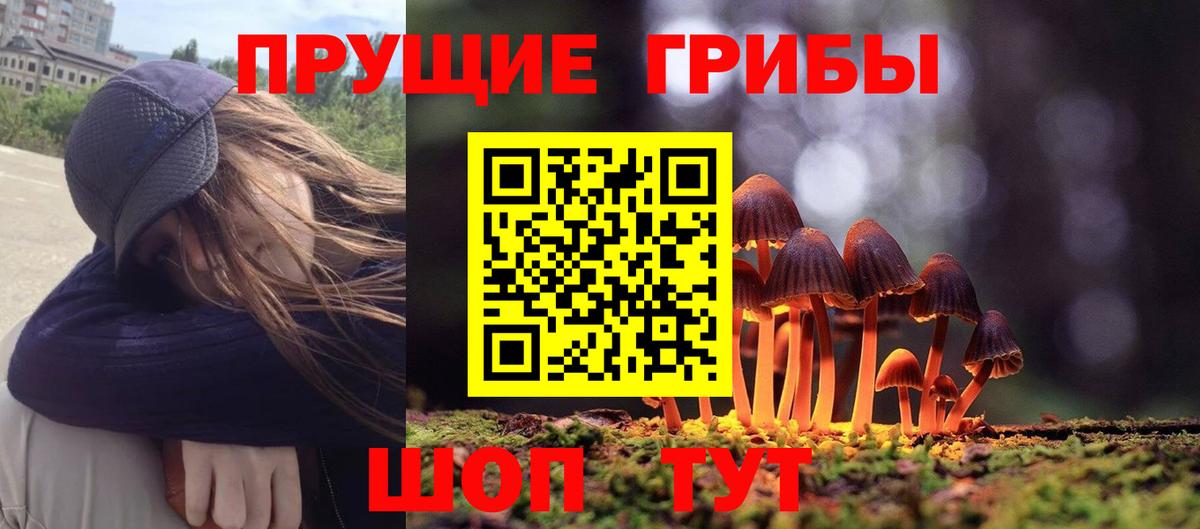 Галлюциногенные грибы MAGIC MUSHROOMS  Вход с VPN  Батайск 